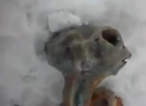 天外世界：外星人星球,天外世界外星人星球揭秘