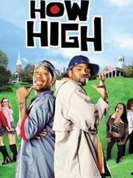 High到哈佛,揭秘逆袭之路